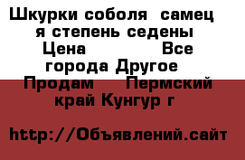 Шкурки соболя (самец) 1-я степень седены › Цена ­ 12 000 - Все города Другое » Продам   . Пермский край,Кунгур г.